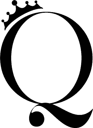 Qinproject logo